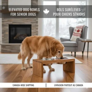 Bilingual graphic featuring elevated dog bowls for senior dogs (bols surélevés pour chiens seniors) for Canadian SEO.
