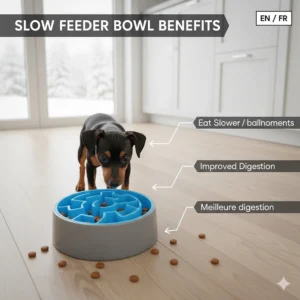 A colorful silicone slow feeder insert to help dogs eat slower, preventing bloat and improving digestion.