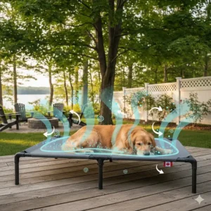 Illustration showing 360-degree airflow under an elevated dog bed outdoor to keep pets cool during humid Quebec summers.