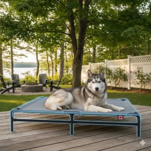 Illustration of a heavy-duty elevated dog bed outdoor supporting a large Husky, highlighting the sturdy frame.