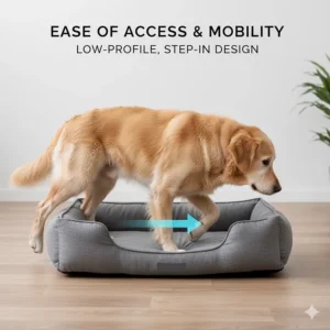 Side view of a senior dog easily entering a low-profile bed without having to hop over high bolsters.