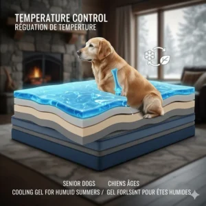 Diagram of a cooling gel memory foam dog bed layer to help Canadian pets stay comfortable during humid Ontario summers.