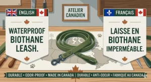 Close-up illustration of rust-resistant hardware on a waterproof biothane leash, built to withstand salt-water exposure on the Atlantic coast.