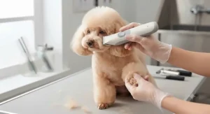 Compact face trimmer for dogs with sensitive skin ideal for detailed grooming on paws and face.